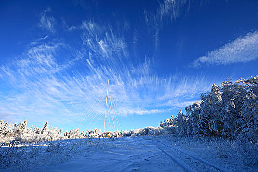 林海雪原中的路