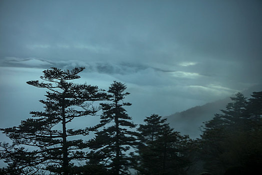 神农架,神农顶,风景,景点,旅游,高山,瀑布,河流,神秘,树木,植被,石头,鄂西,云海,峡谷,壮观