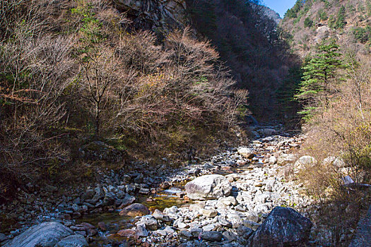 秦岭山秋景