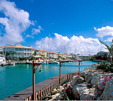 港口,巴巴多斯,西印度群岛