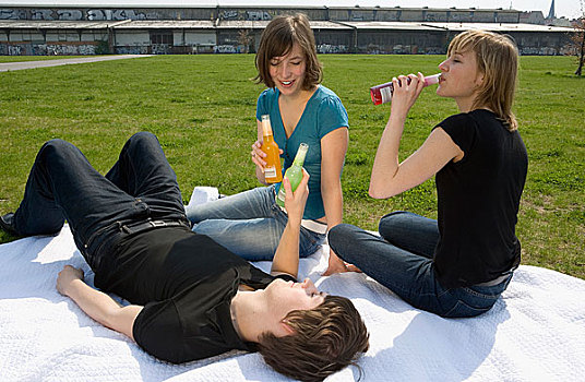 三个,年轻人,喝,玻璃瓶,坐,毯子,公园