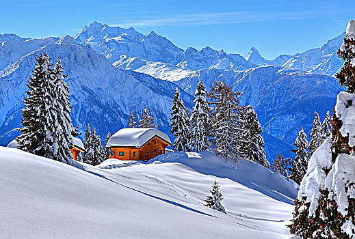 冬季风景,深,积雪,木制屋舍,背影,顶峰,马塔角,阿莱奇地区,瓦莱,瑞士,欧洲