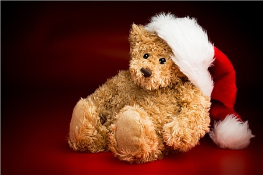 褐色,泰迪熊,戴着,圣诞节,帽子