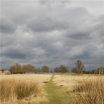 风景,里士满,公园