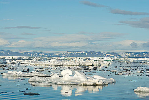 挪威,斯瓦尔巴群岛,水道,漂浮,冰川冰,风景,斯瓦尔巴特群岛,夏天