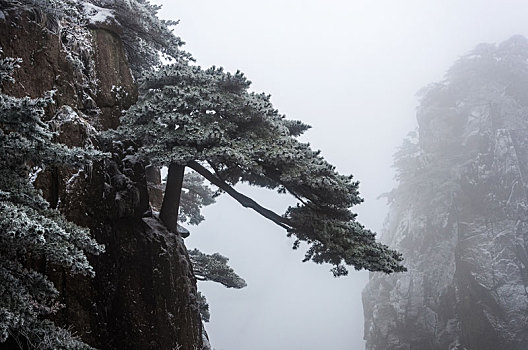 醉美黄山