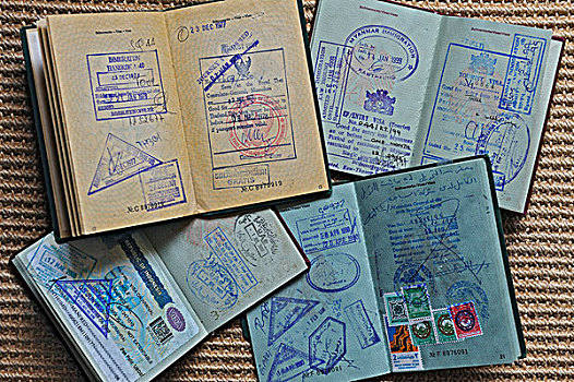 老,护照,多样,签证,德国,欧洲
