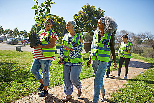 女性,志愿者,种植,树,晴朗,公园