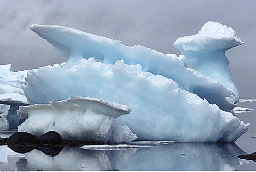 冰层,艾利斯摩尔岛,加拿大