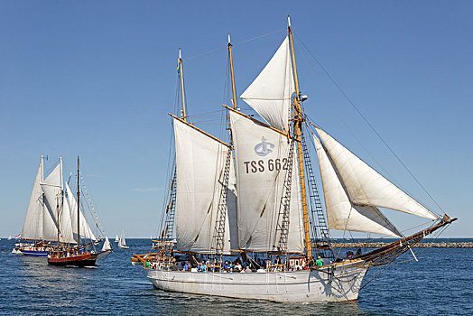 帆船,帆,罗斯托克,梅克伦堡前波莫瑞州,德国,欧洲
