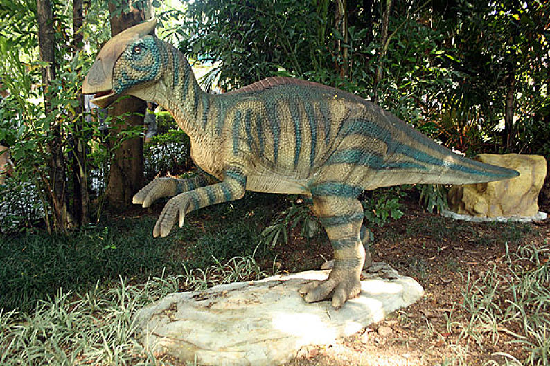 恐龙图片_恐龙高清图片_全景视觉