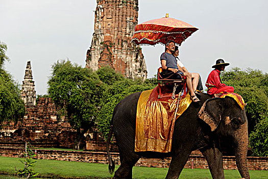 旅游,骑,大象,正面,石头,寺院,大城府,泰国