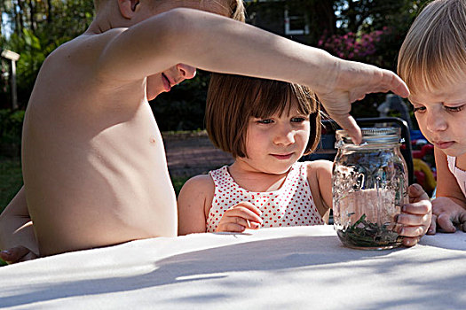 男孩,两个,姐妹,绿蜥蜴,罐,花园桌