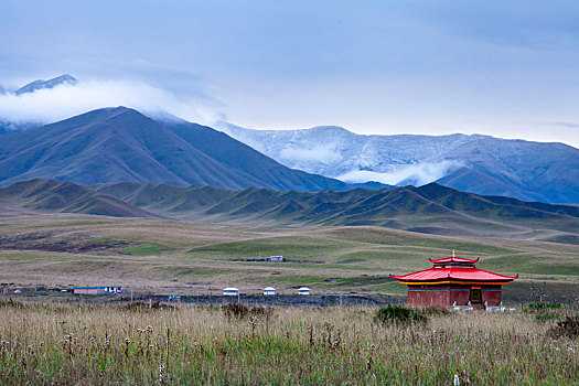 甘南桑科草原美丽风光