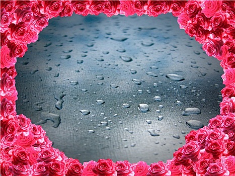 水滴,玻璃,红玫瑰