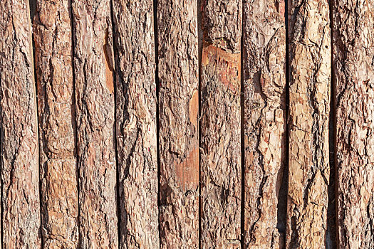 松木树干装饰墙