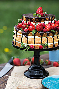裸露,蛋糕,草莓,奶油,巧克力涂层