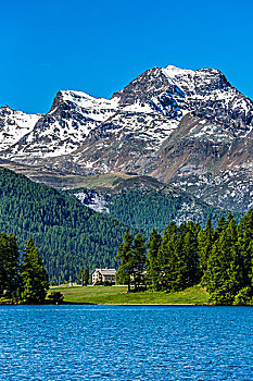 湖,靠近,圣莫里茨,阿尔卑斯山,背景,瑞士