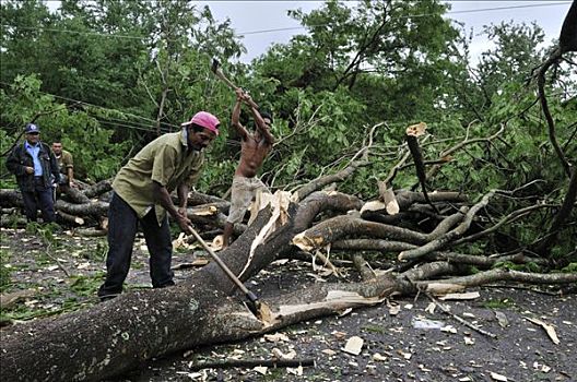 飓风,2008年,树,阻挡,道路,别墅,尼加拉瓜,中美洲