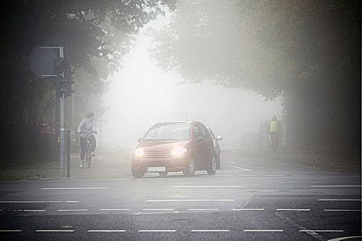 道路交通,骑车,汽车,早晨,雾