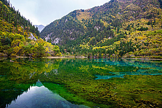 九寨沟风景