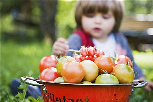 种类,西红柿,滤器,小,女孩,背景