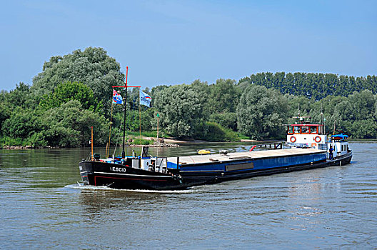 船,莱茵河,河,靠近,阿纳姆,格尔德兰,省,荷兰,欧洲