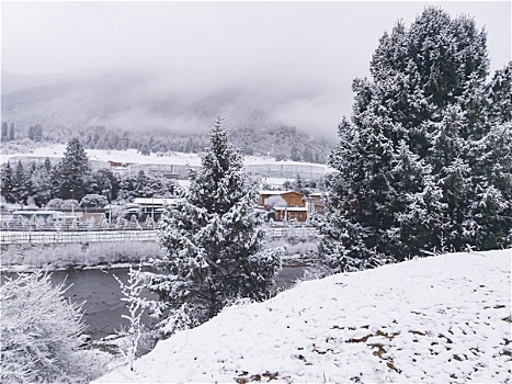 鲁朗春日初雪