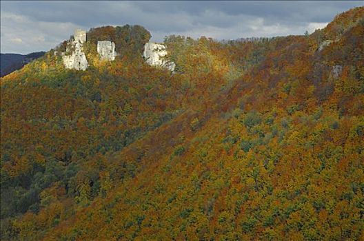 聚光灯,城堡遗迹,秋天,山毛榉,凹槽,巴登符腾堡,德国