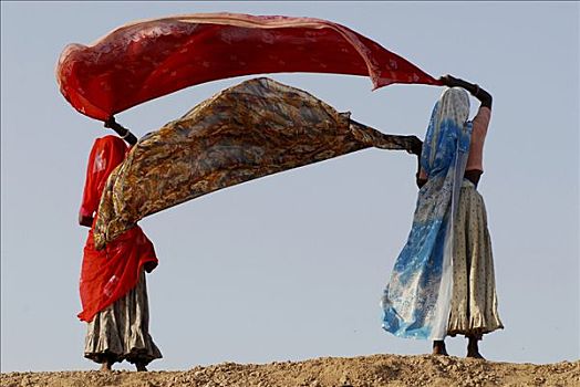 女人,弄干,纱丽服,朝圣,节日,拉贾斯坦邦,北印度,亚洲