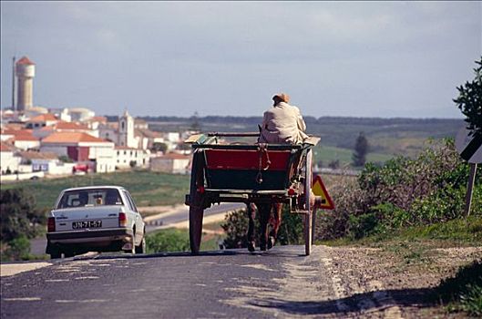 骡子,手推车,阿尔加维,葡萄牙