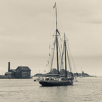 马萨诸塞,纵帆船,节日,港口,大幅,尺寸