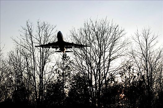 喷气式飞机,波音747,降落,高处,树林
