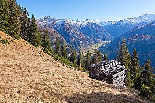 小屋,阿尔卑斯草甸,高处,阿尔卑斯山