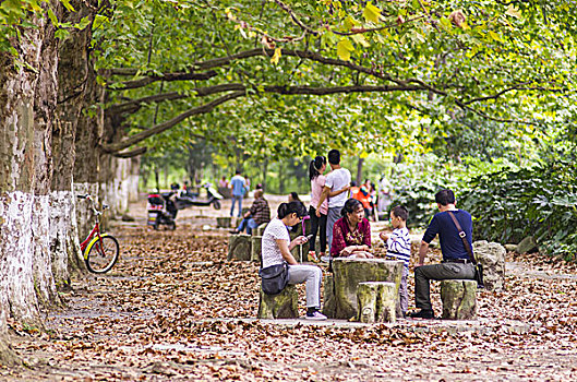 花溪公园小景