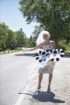 新娘,搭车,尼亚加拉瀑布,加拿大