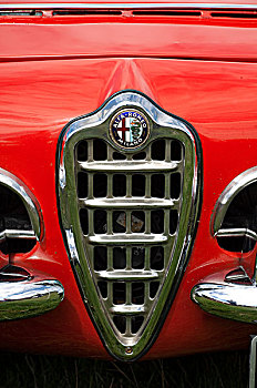 徽章,20世纪50年代,罗密欧,汽车