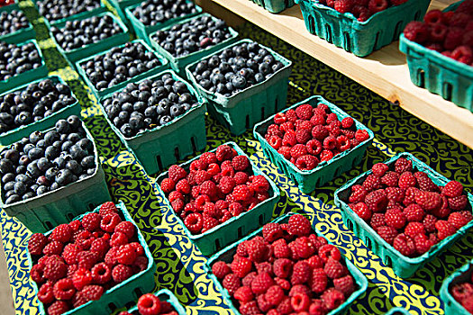 农场,站立,展示,扁篮,新鲜,浆果,树莓,蓝莓