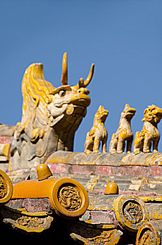 瓷器,北京,故宫,帝王,宫殿,明代,清朝,唐代,生活方式,区域,黄色,陶瓷,龙,盖屋顶细节