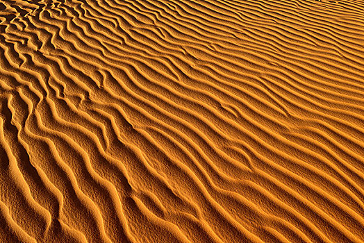沙子,波纹,沙丘,撒哈拉沙漠,省,阿尔及利亚,非洲