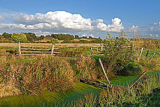 法国,湿地