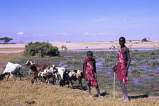 肯尼亚,安伯塞利国家公园,马萨伊,男孩,山羊,水边,洞