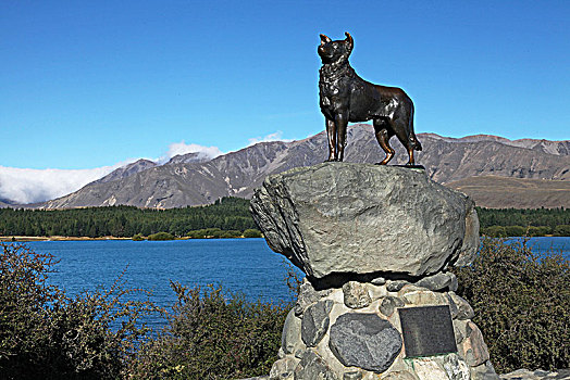 新西兰第卡波湖岸边的牧羊犬铜像