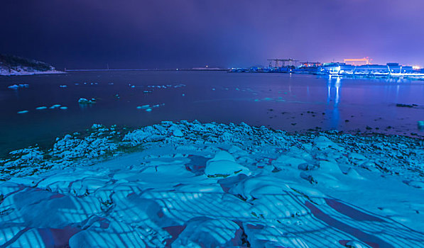 山东威海俚岛镇烟墩角拍摄的冬天雪地天鹅风景