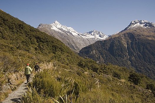 女人,远足,小路,峡湾,国家公园,南岛,新,西兰岛