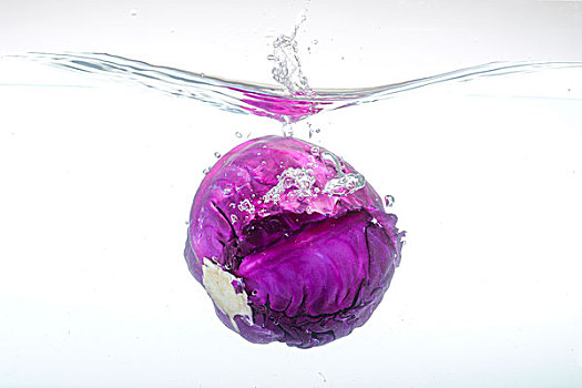紫甘蓝入水