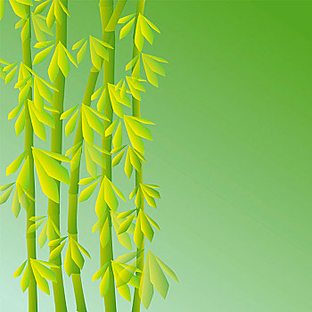 抽象,竹子,背景,绿色,倾斜