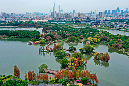广州湿地公园景观