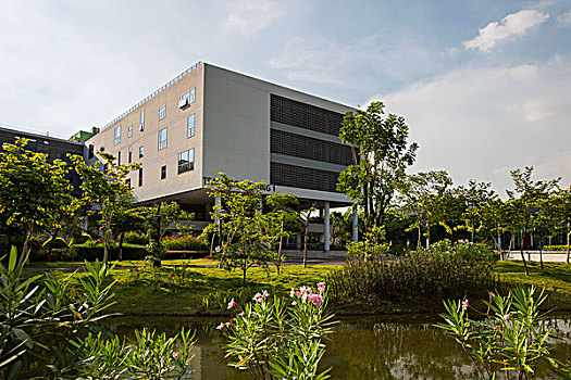 南方科技大学