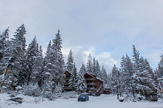 美国俄勒冈雪后山村